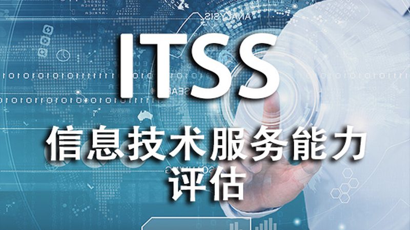 小标题：IT定制开发面临的挑战