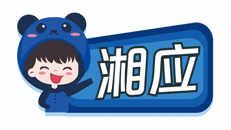 IT外包定制开发流程：揭秘企业数字化转型背后的关键步骤